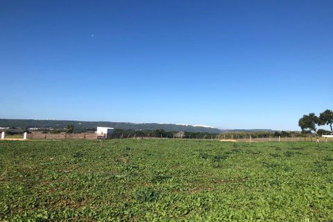 Terra a Barbate, Cadiz, Barbate - € 480.000 | Ref: vc 191 - foto 25
